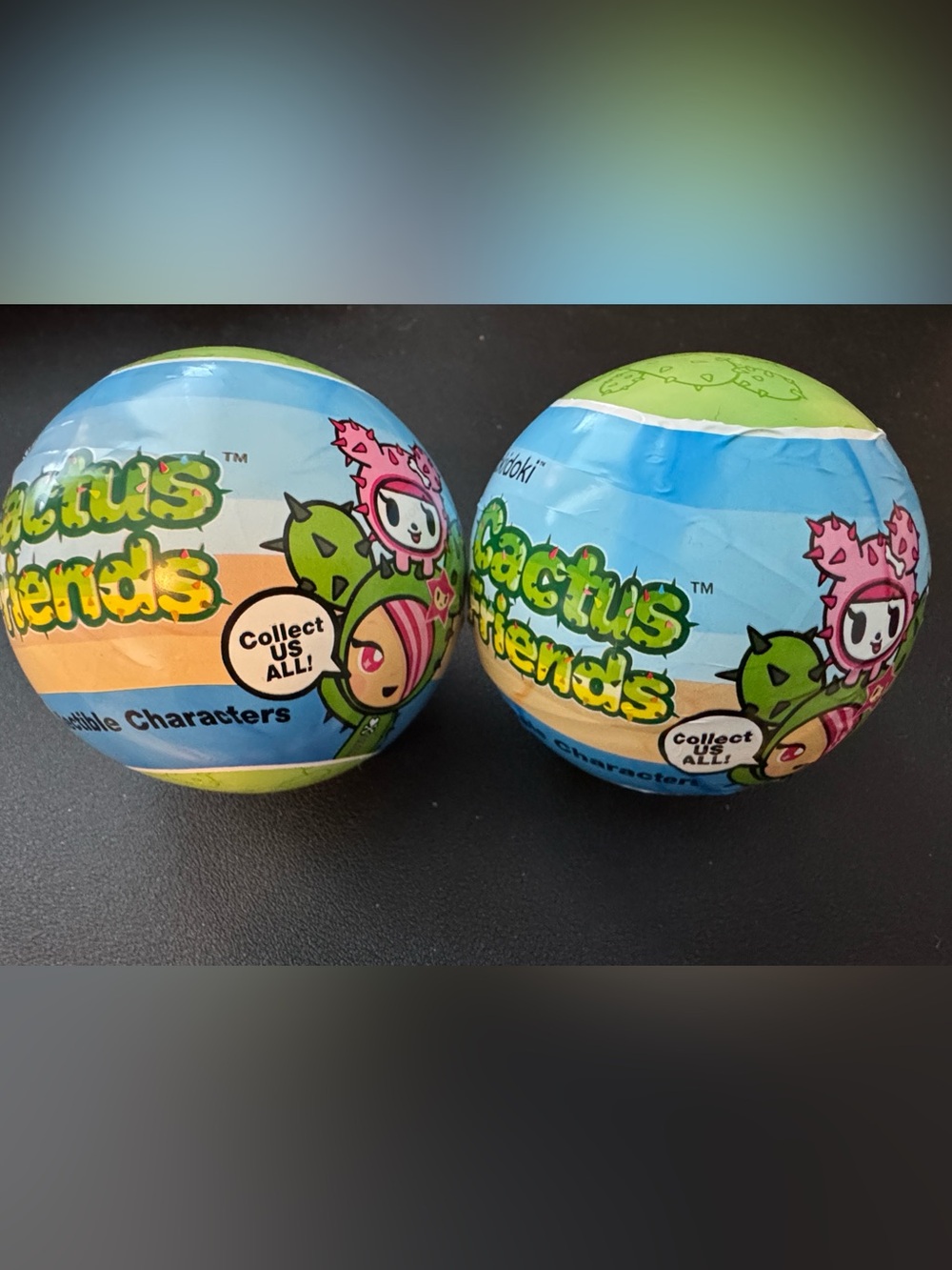 NWT Tokidoki Cactus Friends Blind Capsule Mystery Figures Set of 2